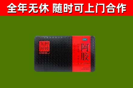 黟县回收阿胶